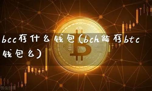 bch能存btc钱包么(btc能买东西吗)